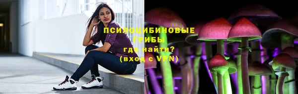 MESCALINE Аркадак