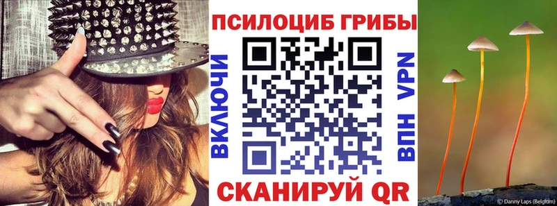 KRAKEN вход  Североморск  Галлюциногенные грибы Psilocybine cubensis 